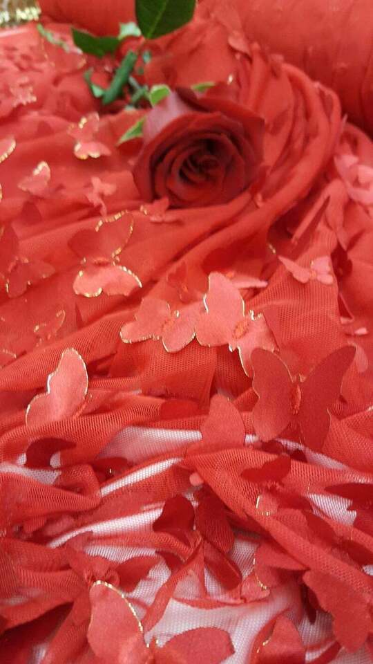 Red Embroidered Lace 3D Satin Butterflies Fabric By the Yard - Perfect for Gowns and Quinceañera Dresses - 60 Inches Wide