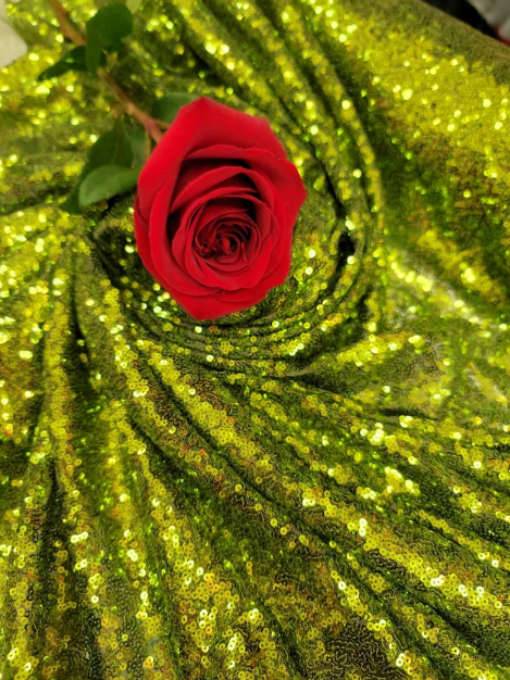 Olive Green Glitz Sequin on Stretch Mesh Fabric - Sold by the Yard