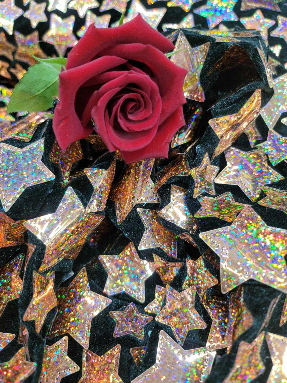 Rose Gold Stars Iridescent On Black Stretch Velvet Fabric By The Yard Clothing Decoration Christmas